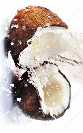 George Batareykin Coconut Jazz