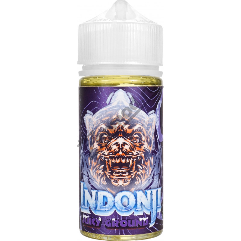 Фото и внешний вид — Indonji ICE - Juicy Ground 100мл