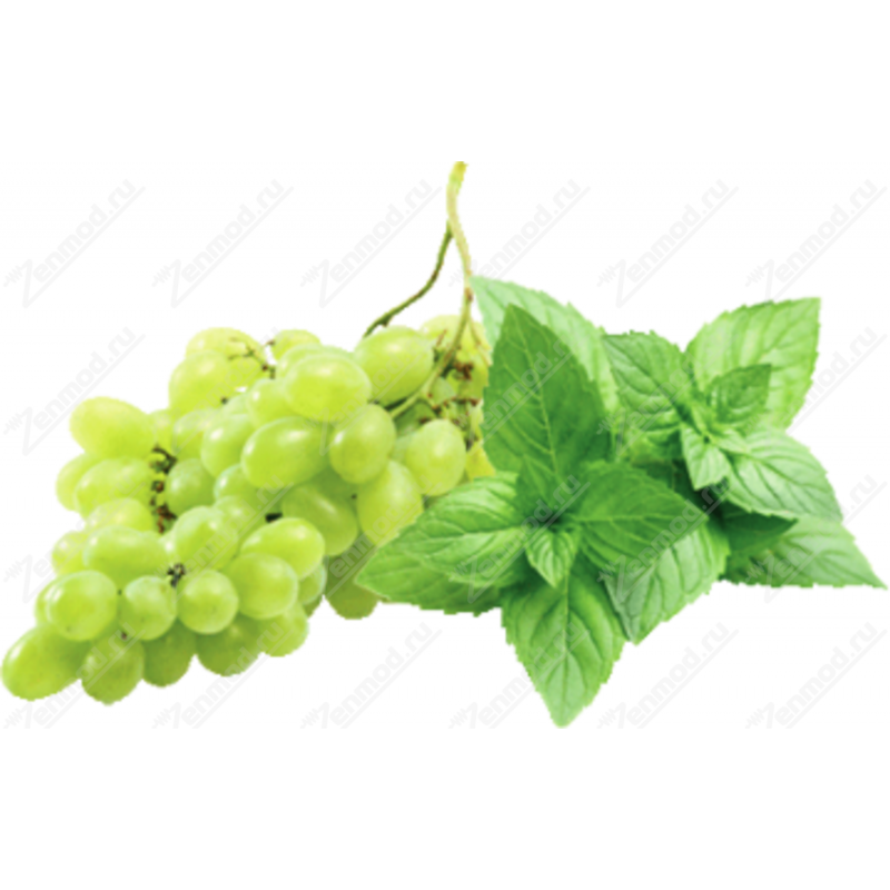 Фото и внешний вид — Inawera Grape Mint, 5мл