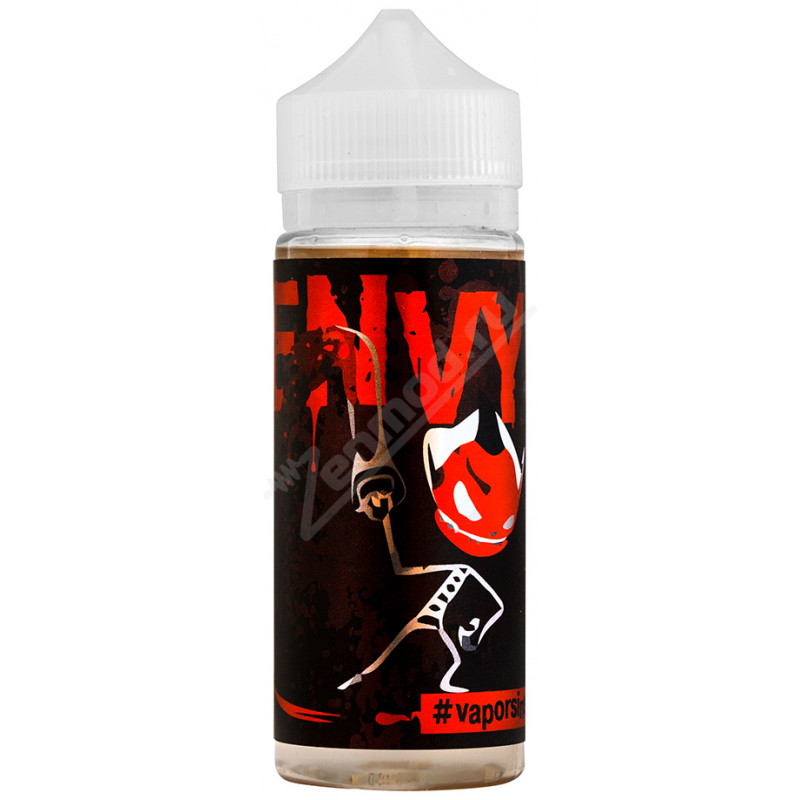Фото и внешний вид — VaporSins - ENVY 120мл