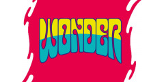Жидкости WONDER