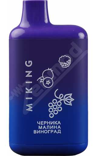 MIKING 4000 - Черника Малина Виноград